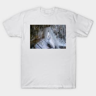 Scheidegg First Waterfall in winter T-Shirt